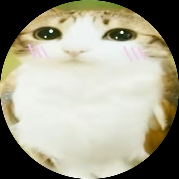 kittytimez